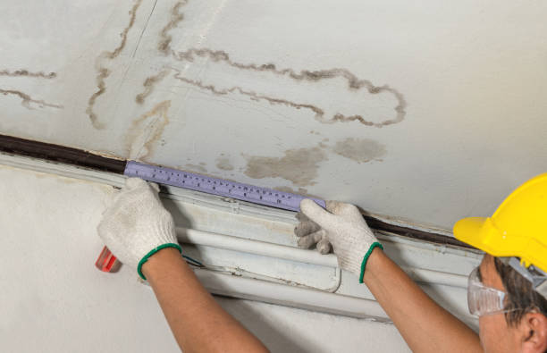 Reliable Water Damage Repair contractor in Yolyn, WV by Hirex Water Damage